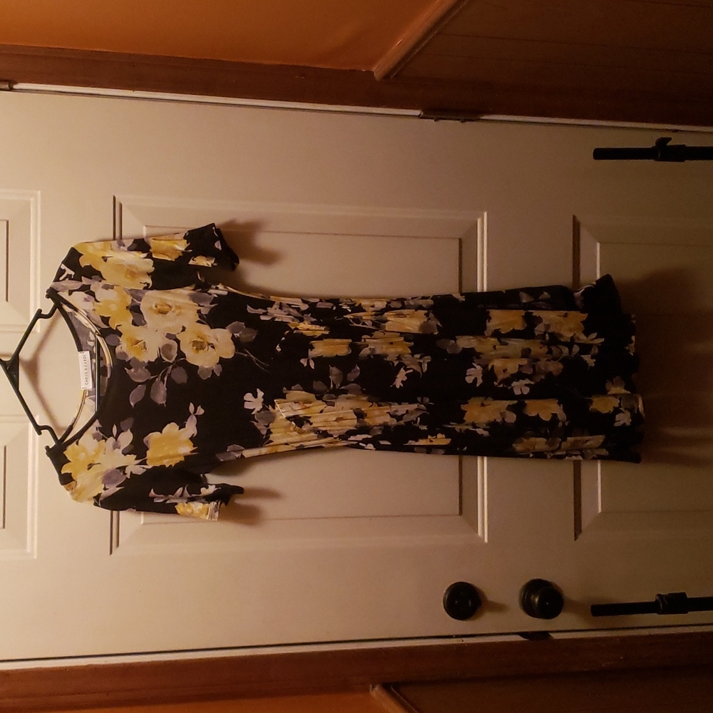 Chris and Carol dress
